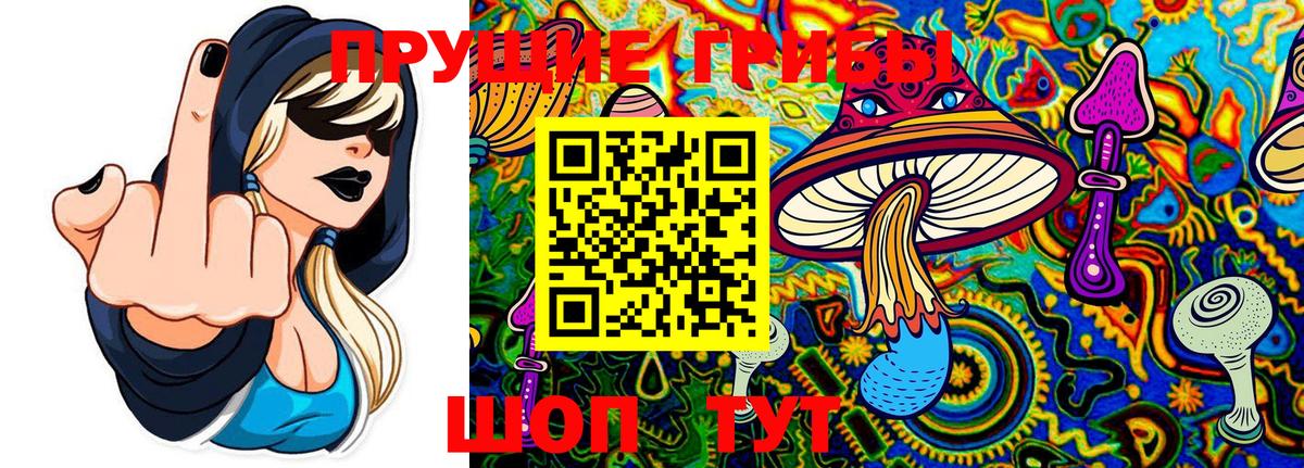 Галлюциногенные грибы MAGIC MUSHROOMS Канаш