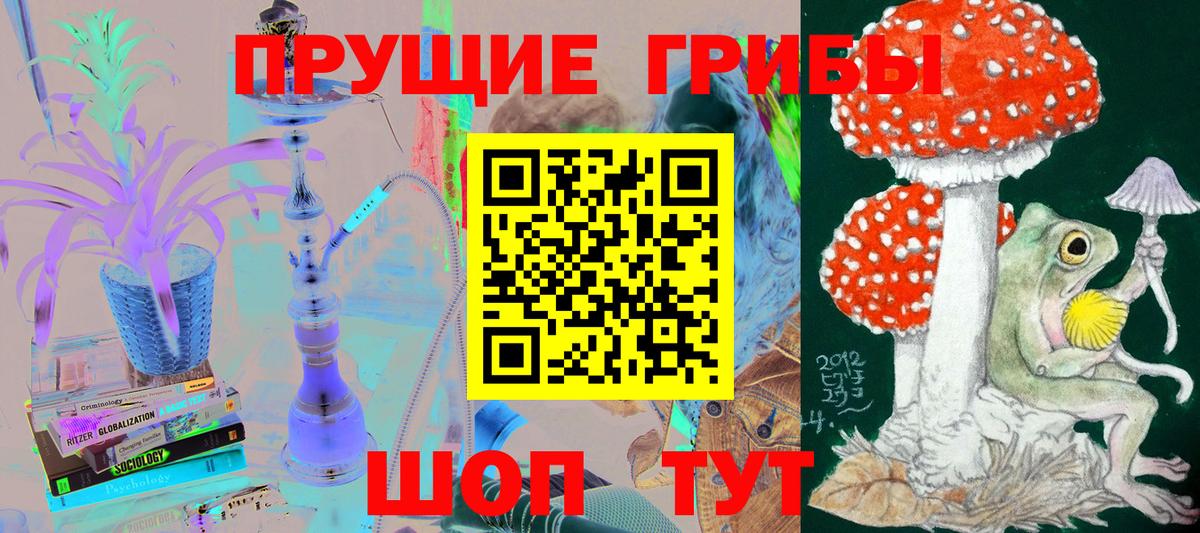 что такое наркотик  Псилоцибиновые грибы GOLDEN TEACHER  Канаш  Вход с VPN  Псилоцибиновые грибы мухоморы 